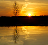 Tamarac Tranquility