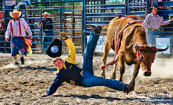 Bull Riding