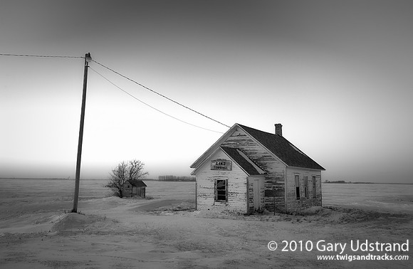 Grass Roots in Black and White